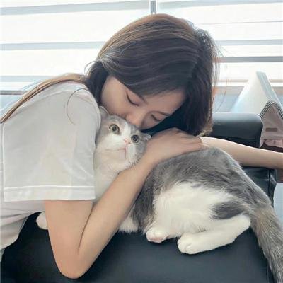 直面疾风吧 封面